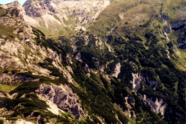 Forte da postazione Spiz Moschesin_1