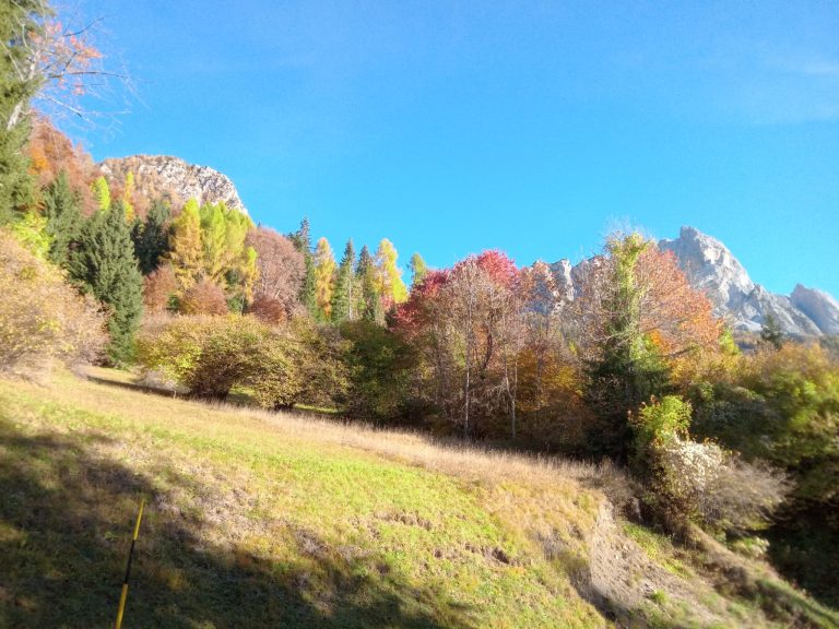 cbd1b65f-f7b5-4c71-bceb-5b877070adc7