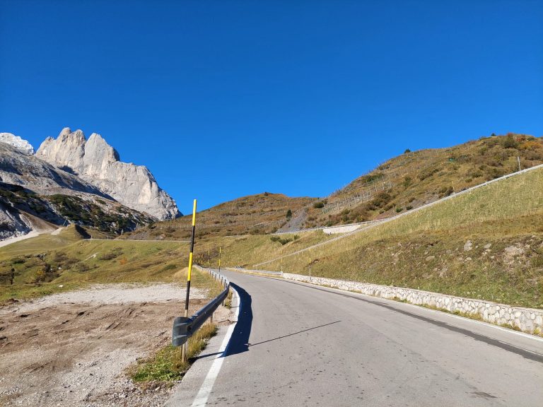 e4cf02b3-2d3f-4126-9509-c456ac0d8658