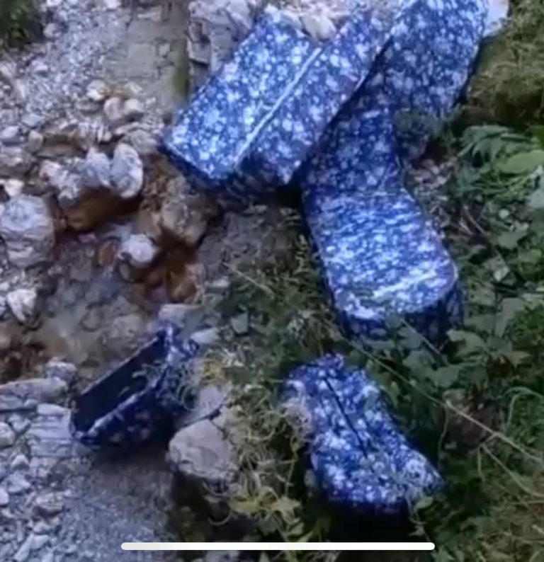 e71c1594-2309-4910-9917-996dbbcc4469