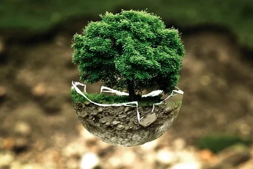 environmental-protection-683437__340
