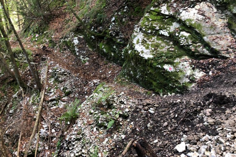 sentiero tassei casera valpiana (2)