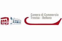 CAMERA COMMERCIO