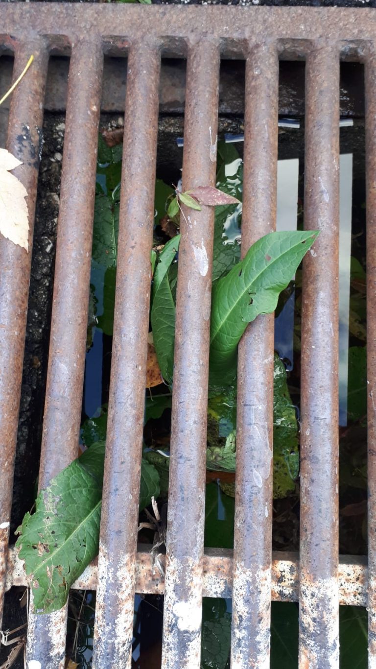 02d52b83-1c56-4d23-aac0-e380a5b6e33c