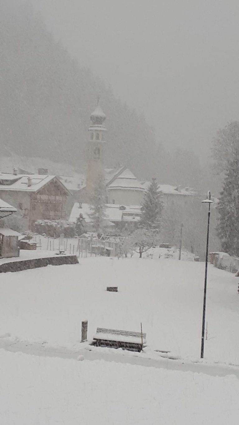 13b69f39-4273-408b-8112-51288eb27873