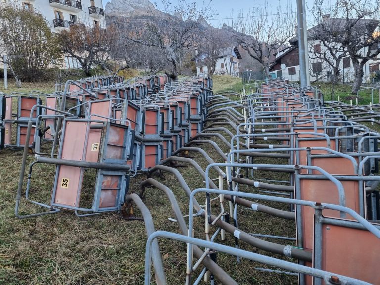 258995976_415245930262034_5009009211026710355_n