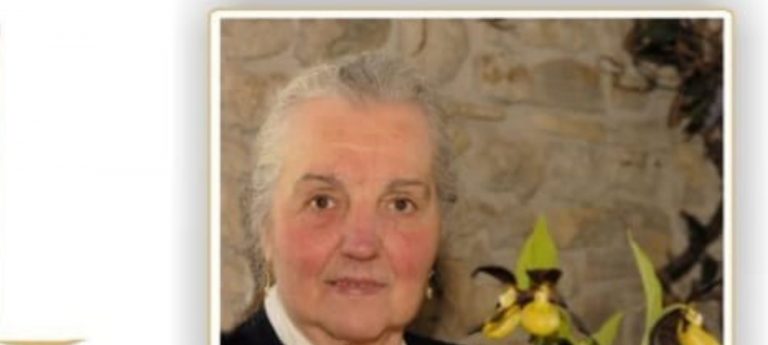 5f69b0e9-0a27-483b-96ed-43458b0f547b