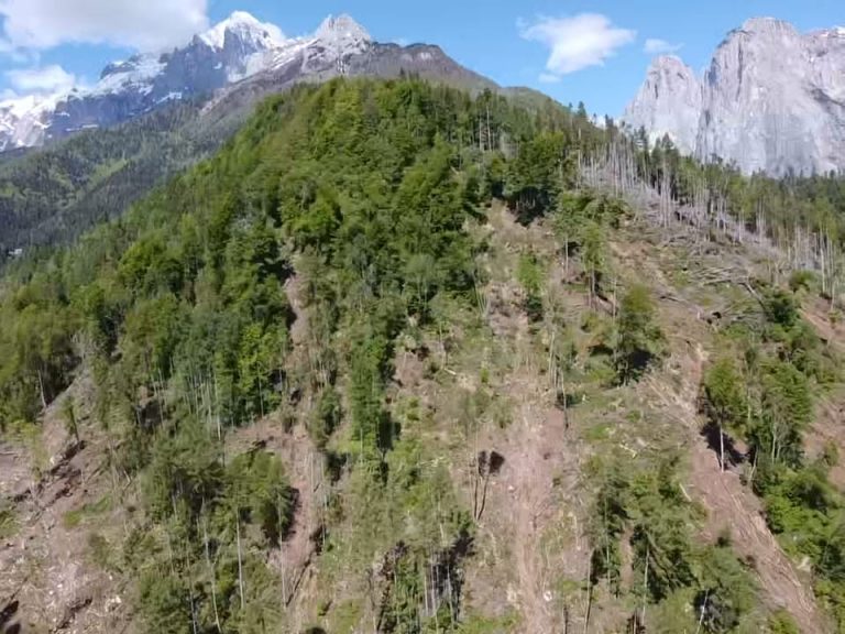 7d757368-37fb-4e71-9a80-9c02f5bdc04e