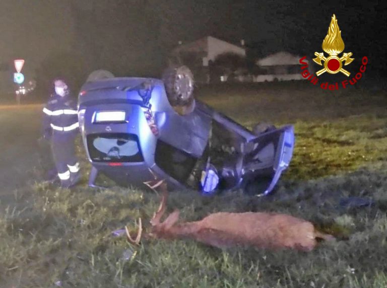 9c2c6f0c-3970-4e30-bd9f-57e7a6fd8eea