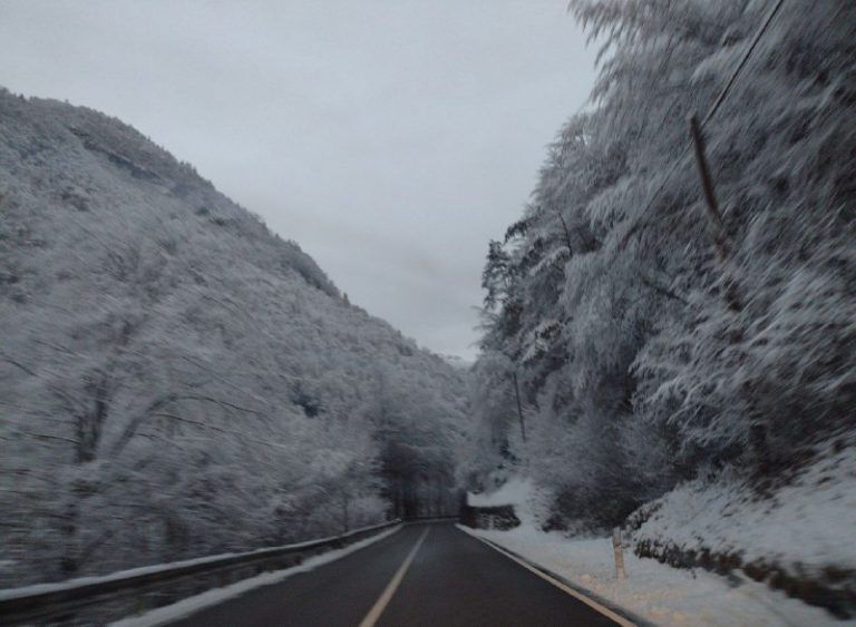Fontanive-Giulia-sito