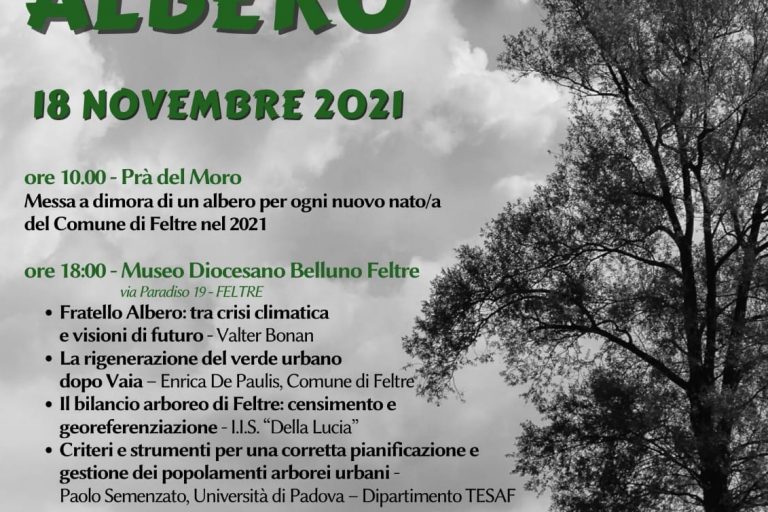Fratello Albero 2021