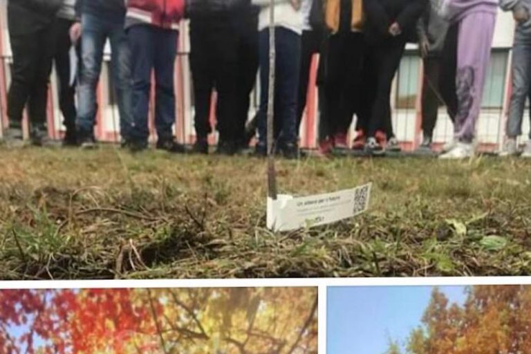 Un_albero_per_il_futuro