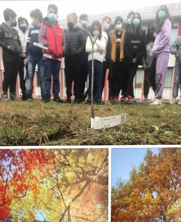 Un_albero_per_il_futuro