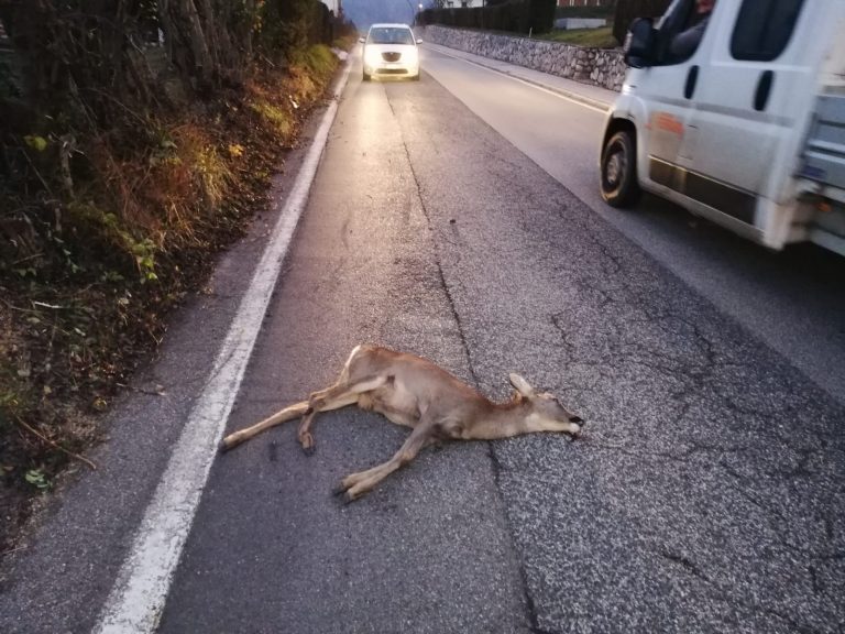 b4ac43cd-a8d8-4d77-b310-b4cbe49d834b