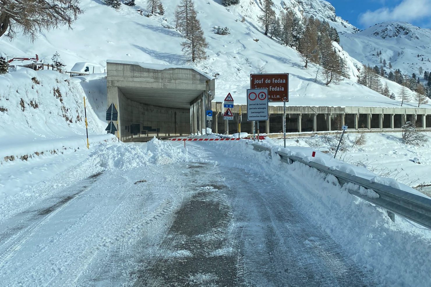 bfff2cb5-f6e6-474c-b5e3-1165ce6049ae