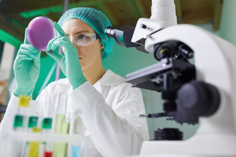 Researching Bacteria