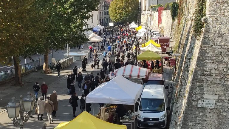 d9572e19-2b74-4a92-9d9a-bc21c87adde3