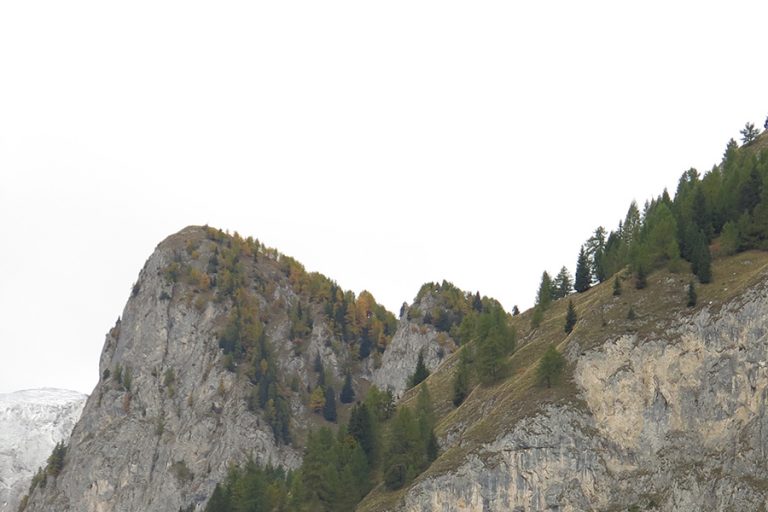header_111