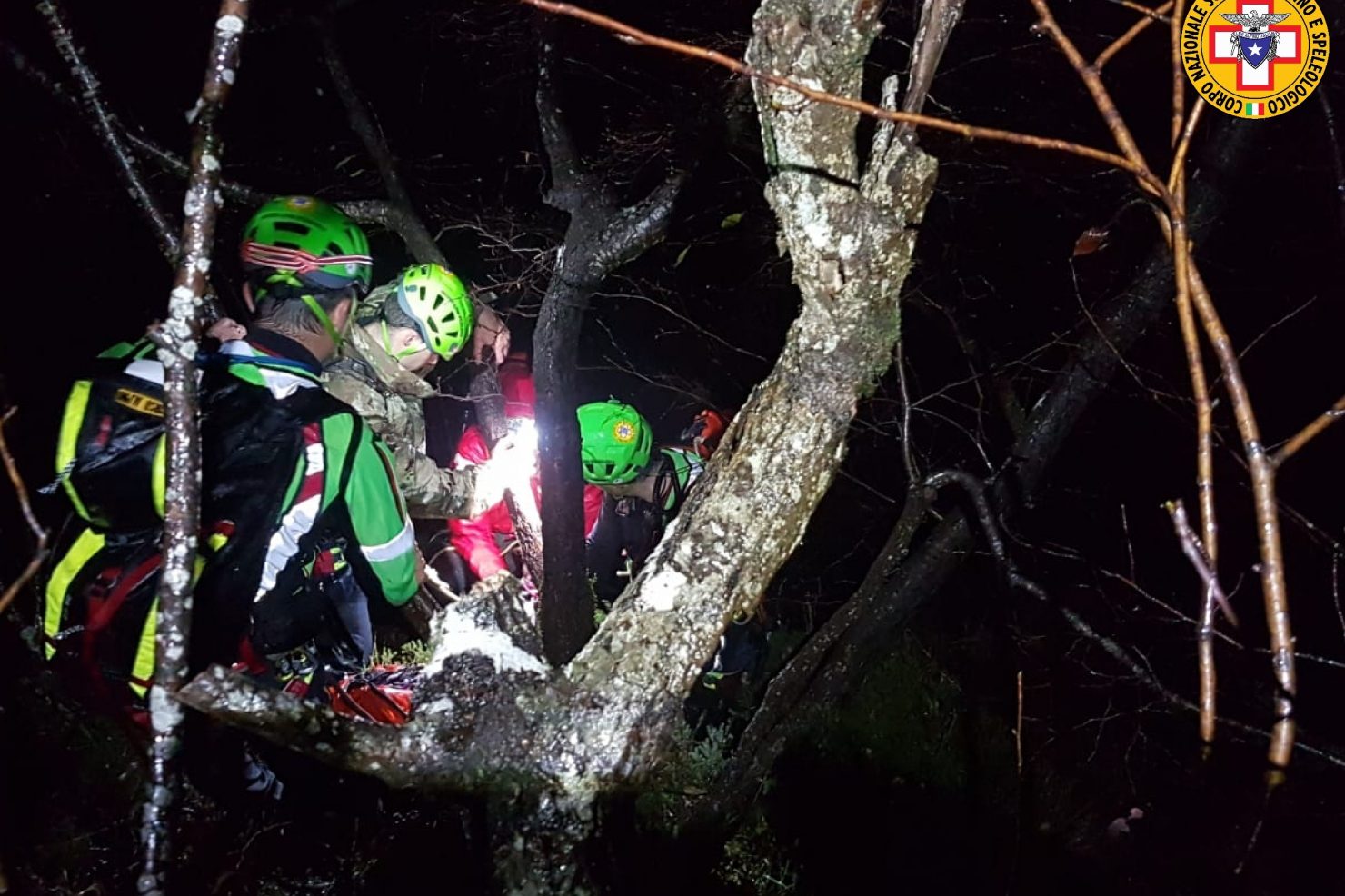 salt_20211114_093645_274