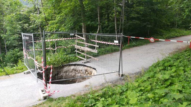 1e264efc-d30f-452f-b5c1-3b4462045df3