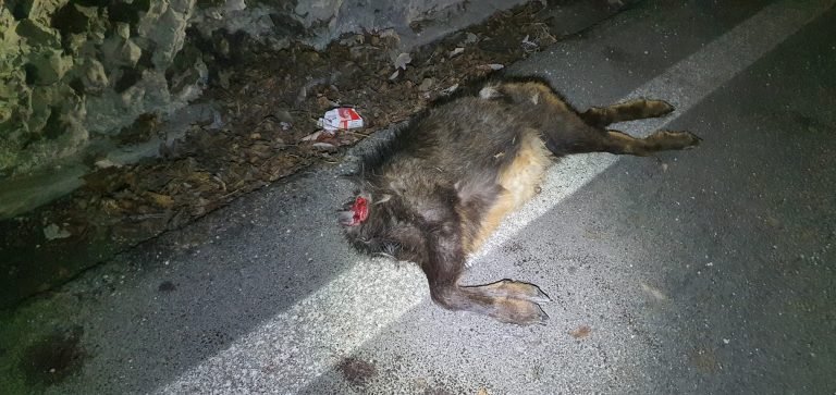 21d832b7-81ca-48af-b61c-6e4df51217a4