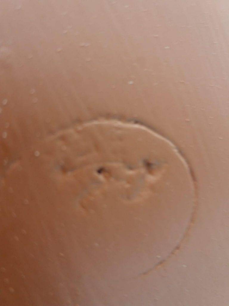 269739337_1232221823935263_5551837619262177393_n