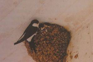 269927363_975247266445058_8856280456237056439_n