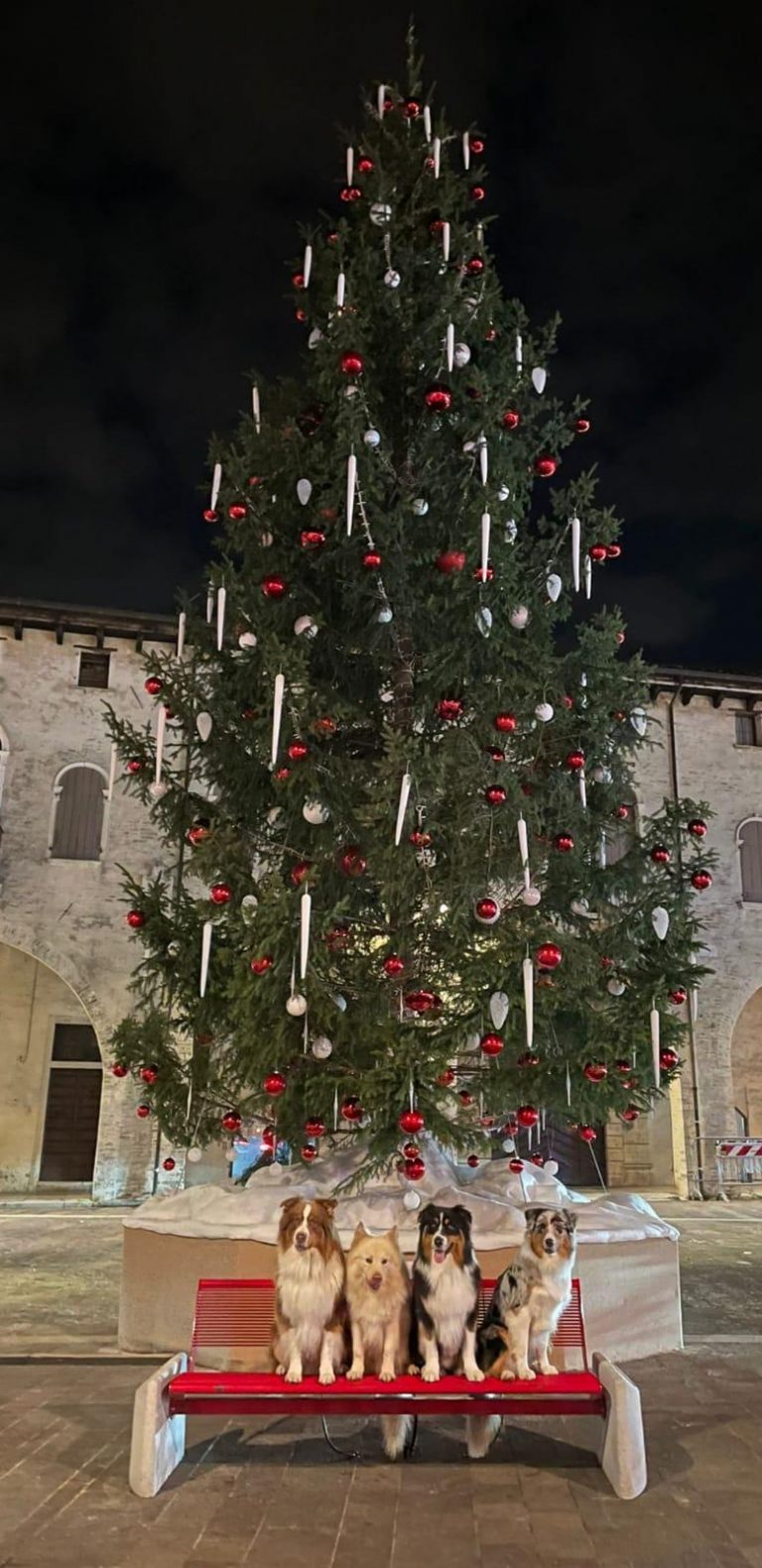 826e400f-de49-4c4d-baa2-3635d2303bde