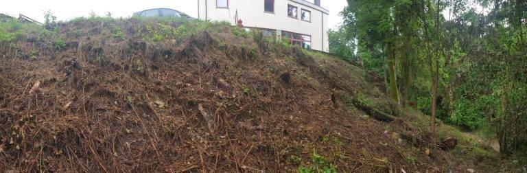 9035b488-f0d2-42e8-9c77-3ad83ad05d21