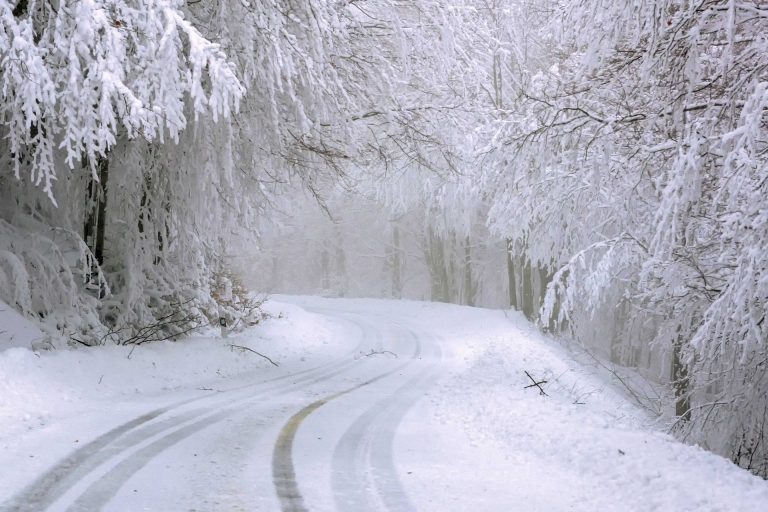 NEVE STRADA