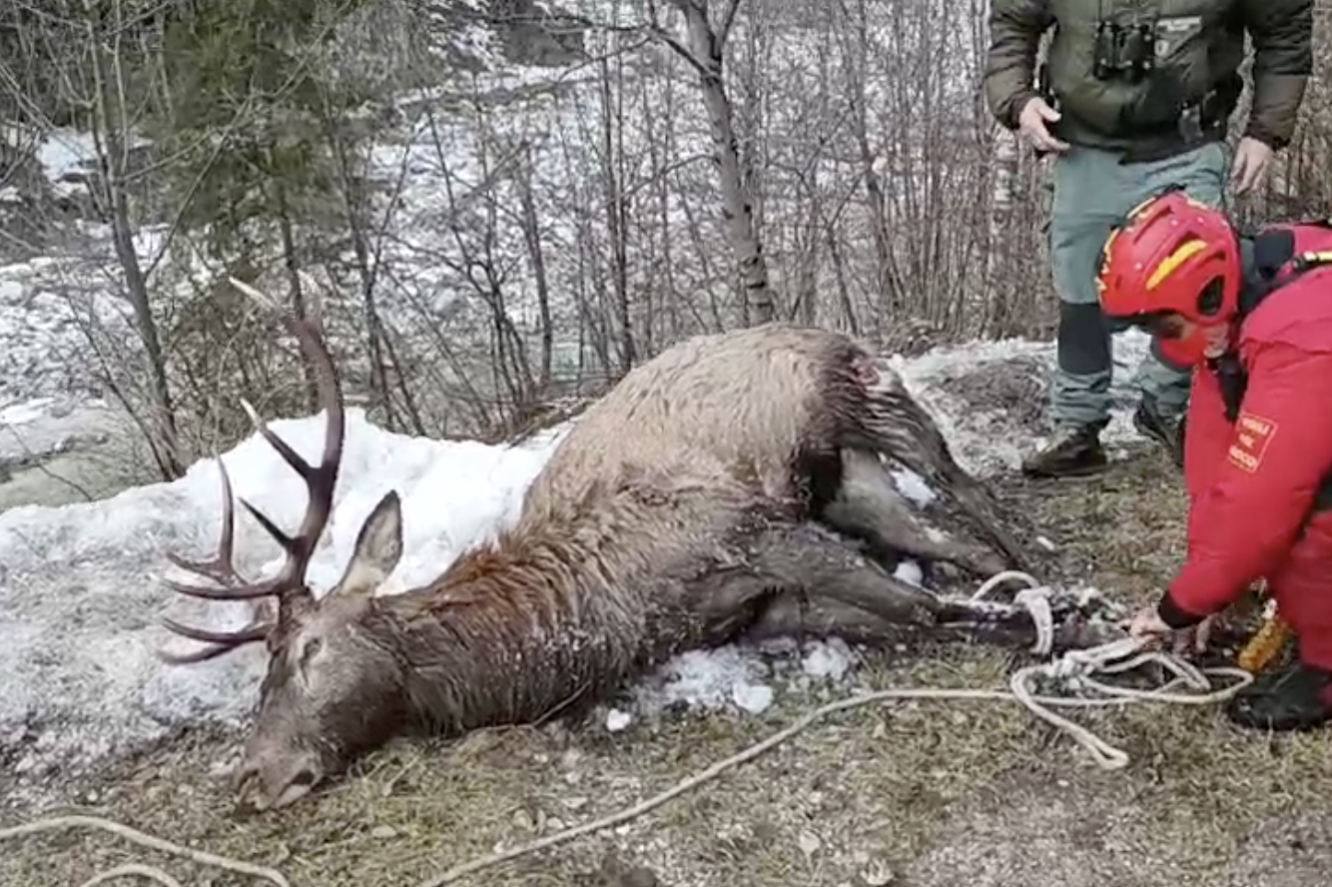 Schermata 2022-01-09 alle 14.09.50