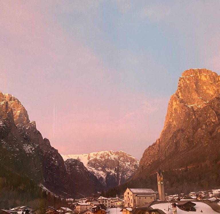 d96cec0f-42c2-4f72-8778-6c0fd8fa38cf