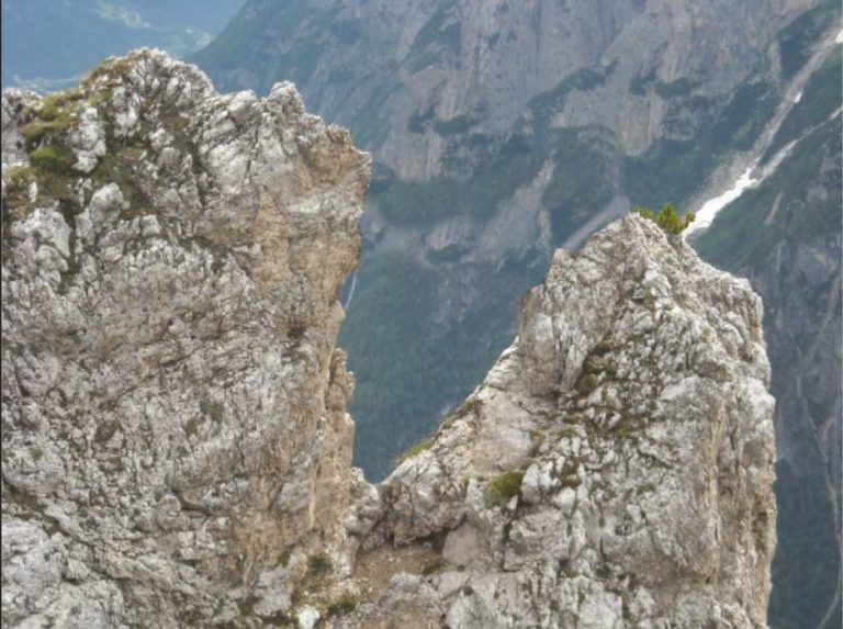 e5551914-fd4d-4309-87da-69287f517652