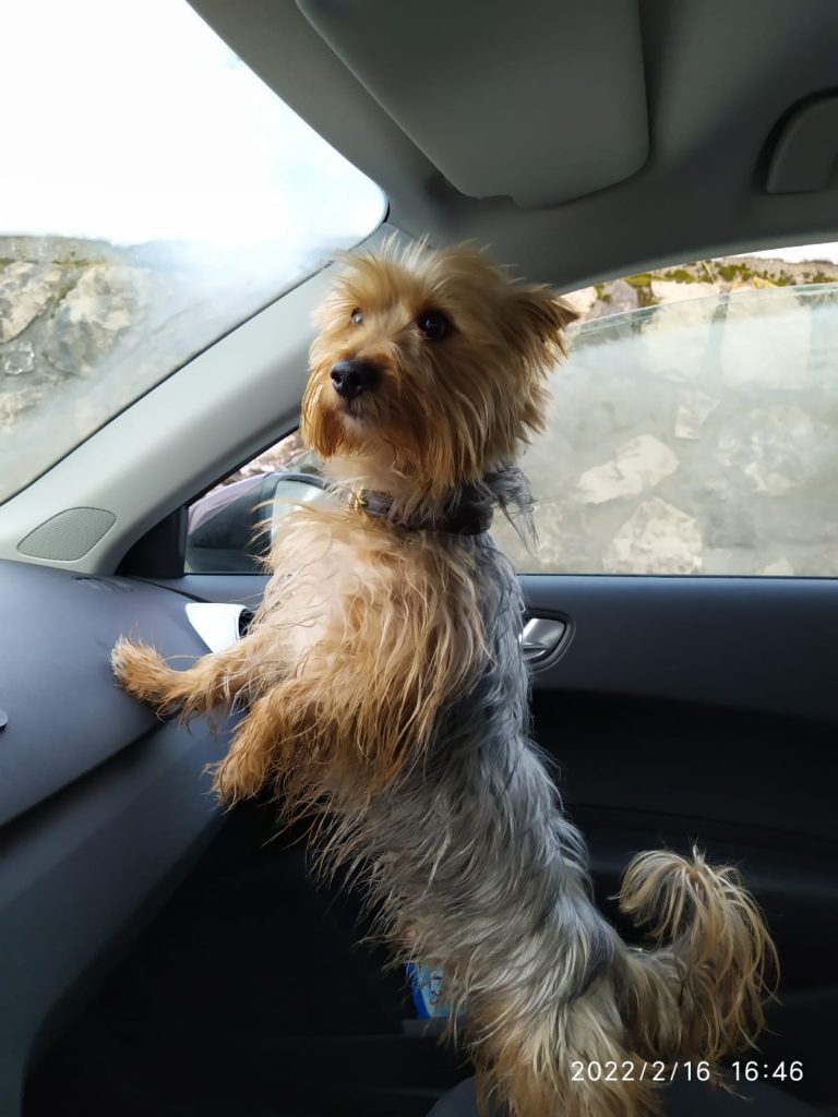 03d25e01-c9ec-41e5-8db1-76acd534b85a