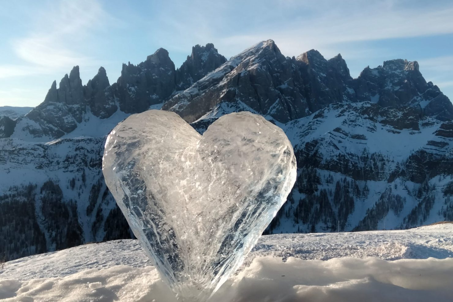 0f67076b-daba-4af6-89f7-62b7bcc088a7