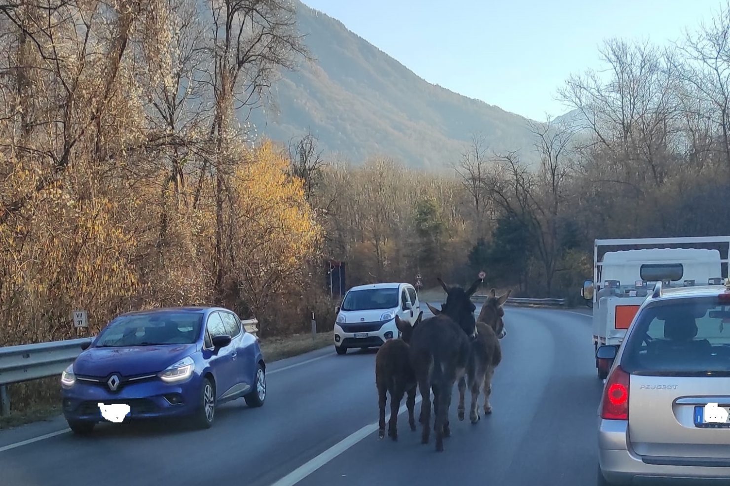 9aa8e86f-3409-4025-abb8-3a18e3a35bd9