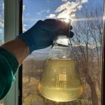 IMG-20220201-WA0008-150×150