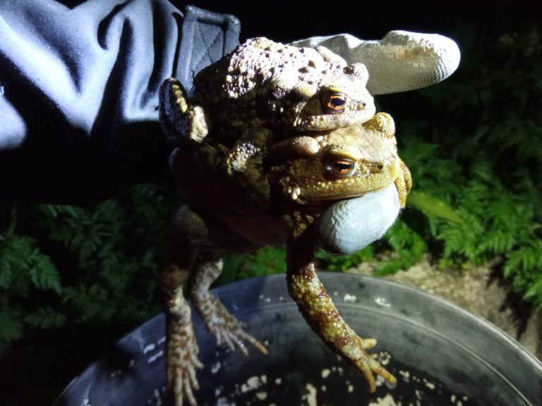 WhatsApp Image 2021-05-23 at 21.49.38