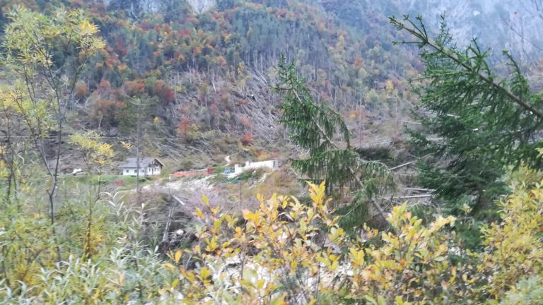 a392d167-32e9-4c61-9512-ce1b5636505e