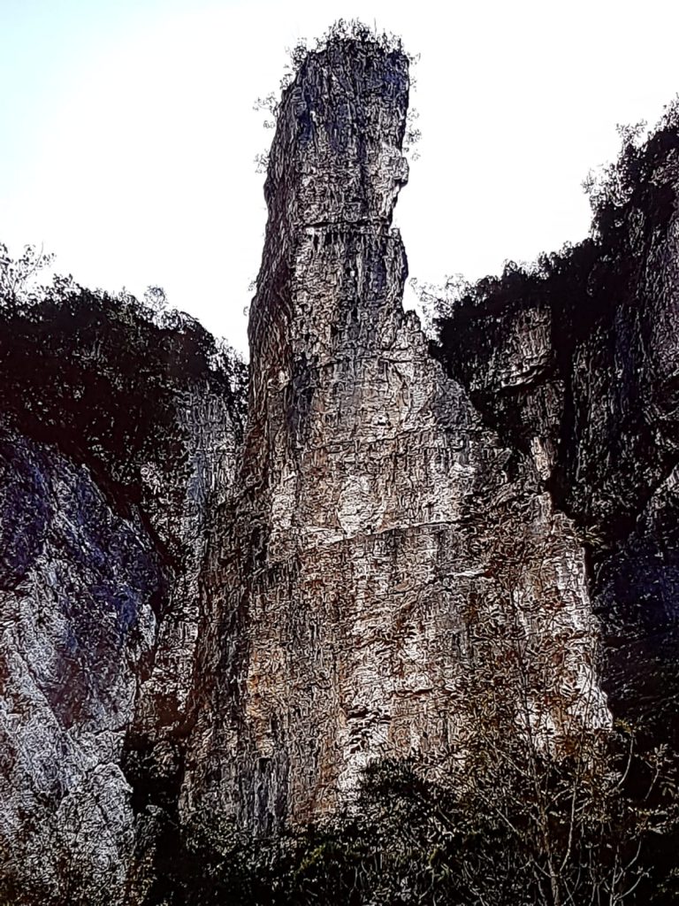 da77b2cc-23fb-49e4-997e-c56d13b1915a