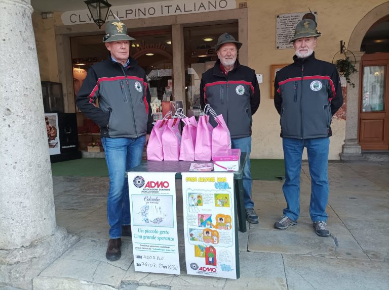 09677523-5bdb-495f-81af-3b4008ecd587