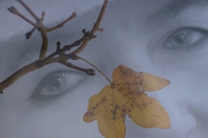 1 ILARIA COLANGELI FOTO