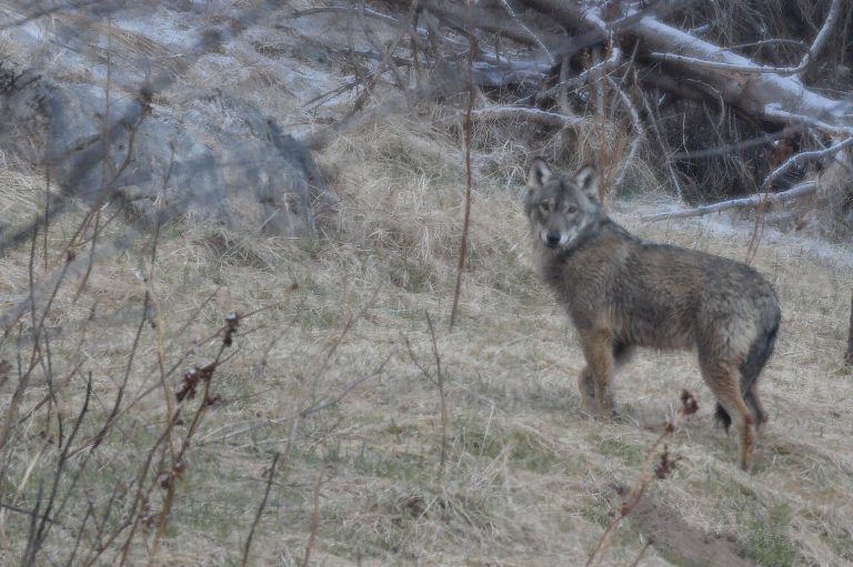 275346962_1048561422677791_7122201146952314709_n