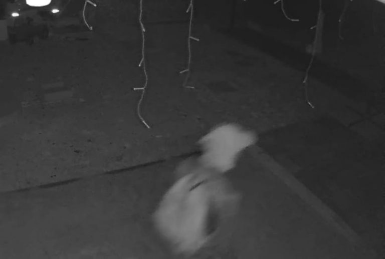 277589035_10224137795945928_3454717908387986690_n