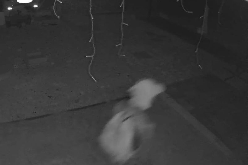 277589035_10224137795945928_3454717908387986690_n
