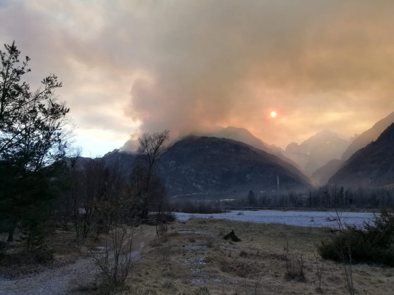 72eba3a7-b687-43c2-8fd8-155ff08dae18