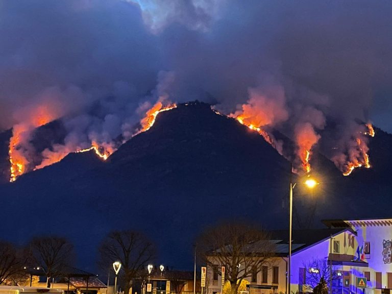 79125365-f57f-48d5-935c-569e68f83c63