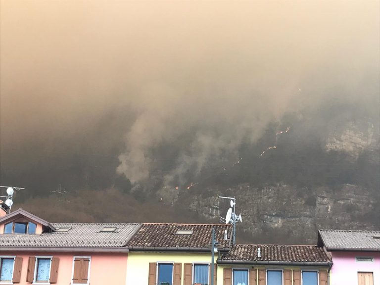 88c05a69-71f0-41c3-8c55-949a9fe315a5