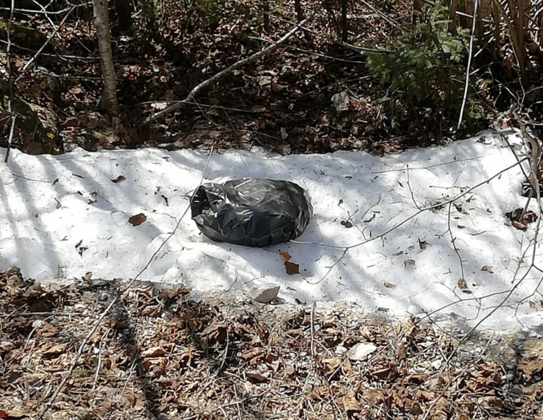 Schermata 2022-03-24 alle 15.27.15