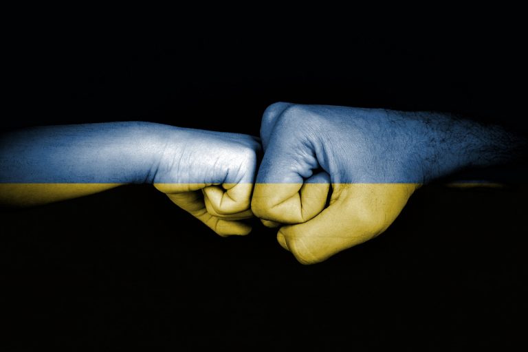 UCRAINA PUGNO